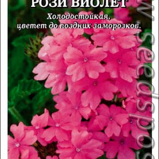 Вербена канадская Рози Виолет, 0,2 г