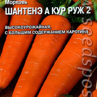 Морковь Шантанэ А Кур Руж 2, 0,5 г Syngenta