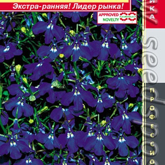 Лобелия ампельная Регатта Марин Блю, 8 мультидраже Профессиональная коллекция