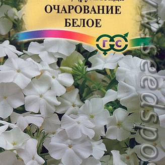 Флокс Друммонда Очарование Белое, 0,05 г 