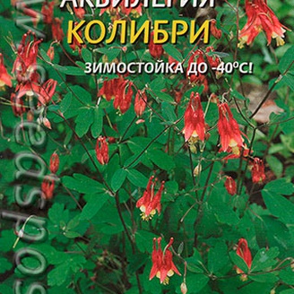 Аквилегия Колибри, 10 шт.