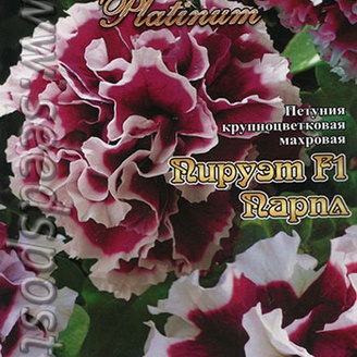 Петуния крупноцветковая махровая Пируэт Парпл  F1, 10 шт. Platinum