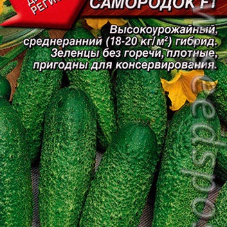 Огурец Русский самородок F1, 0,3 г