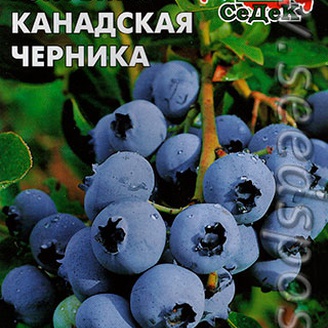 Голубика Канадская Черника, 0,05 г