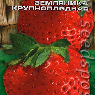 Клубника крупноплодная Гигантелла, 10 шт.