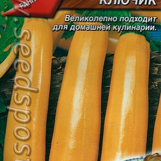 Кабачок Золотой ключик ®, 1 г