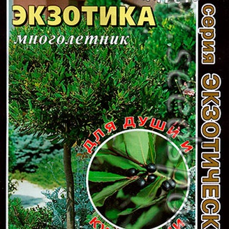 Лавр благородный вечнозеленый Экзотика, 1,5 г Экзотический сад