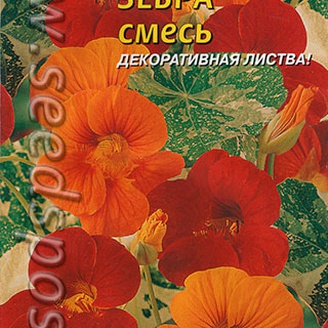 Настурция Зебра, Смесь, 2м, вьющаяся, одн. 2 г