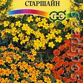 Бархатцы тонколистные Старшайн, Смесь, 0,05 г