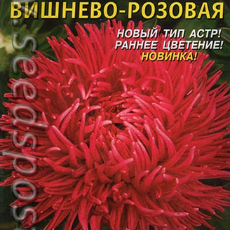 Астра шаровидно-игольчатая Вишнево-розовая, 0,3 г