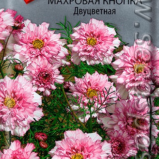 Космея махровая Кнопка Двуцветная, 0,1 г