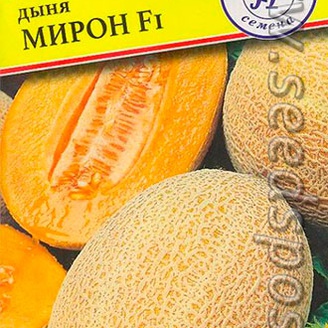 Дыня Мирон F1, 3 шт. Израильская линия