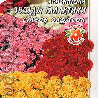 Хризантема Звезды галактики, Смесь окрасок, 0,02 г