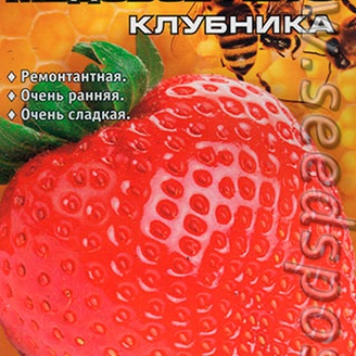 Клубника крупноплодная Медовое лето, 5 шт.