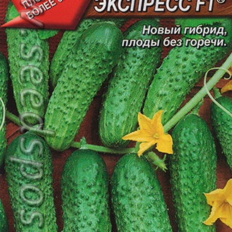 Огурец Русский экспресс ®, 0,3 г