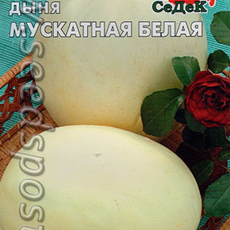 Дыня Мускатная белая, 0,5 г