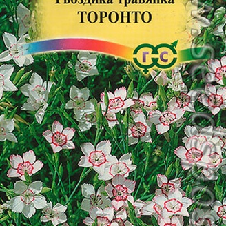 Гвоздика - травянка Торонто, 0,1 г