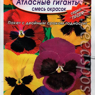 Фиалка садовая Атласные гиганты, Смесь окрасок, 0,1 г