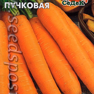 Морковь Пучковая, 1 г