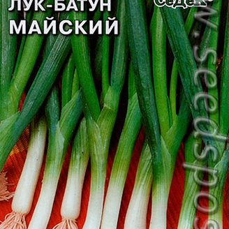 Лук батун Майский, 1 г