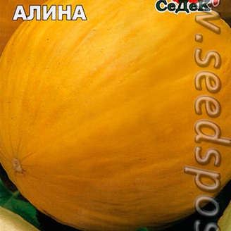 Дыня Алина, 0,5 г