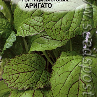 Горчица листовая Аригато, 1 г