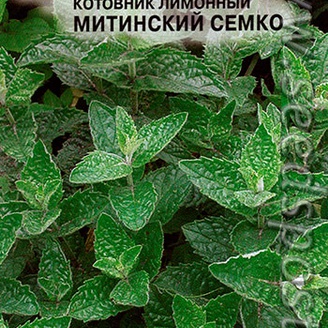 Котовник лимонный Митинский Семко, 0,05 г