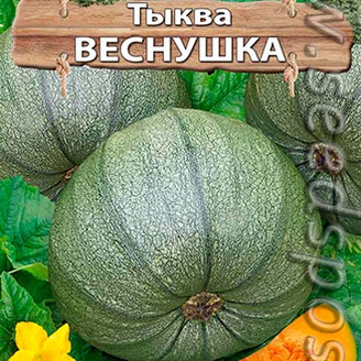 Тыква Веснушка, 5 шт.