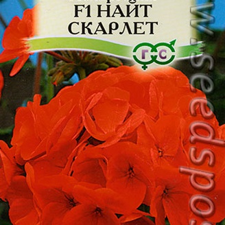 Пеларгония Найт Скарлет F1, 4 шт.