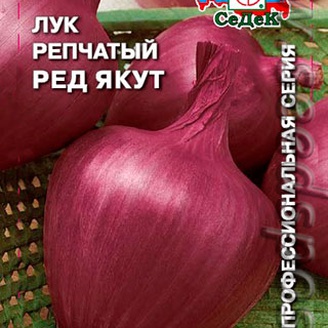 Лук репчатый Ред Якут, 0,5 г Профессиональная серия