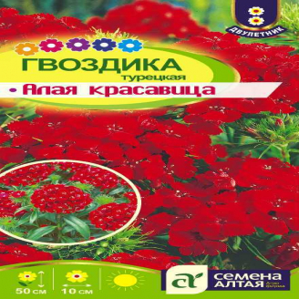 Гвоздика Турецкая Алая Красавица, двулетник, 0,2 г