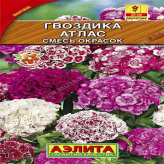 Гвоздика Турецкая Атлас Смесь окрасок, махр, двулетник, 0,1 г 