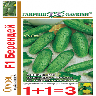 Огурец Берендец F1, ран, партен, пуч, 1+1, 20 шт.