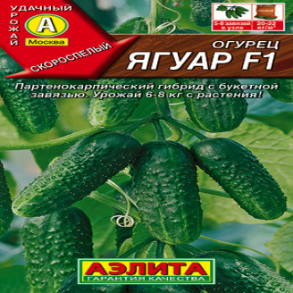 Огурец Ягуар F1, парт, ЦВ, 0,25 г