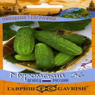 Огурец Муромский 36, сер. География, 0,5 г